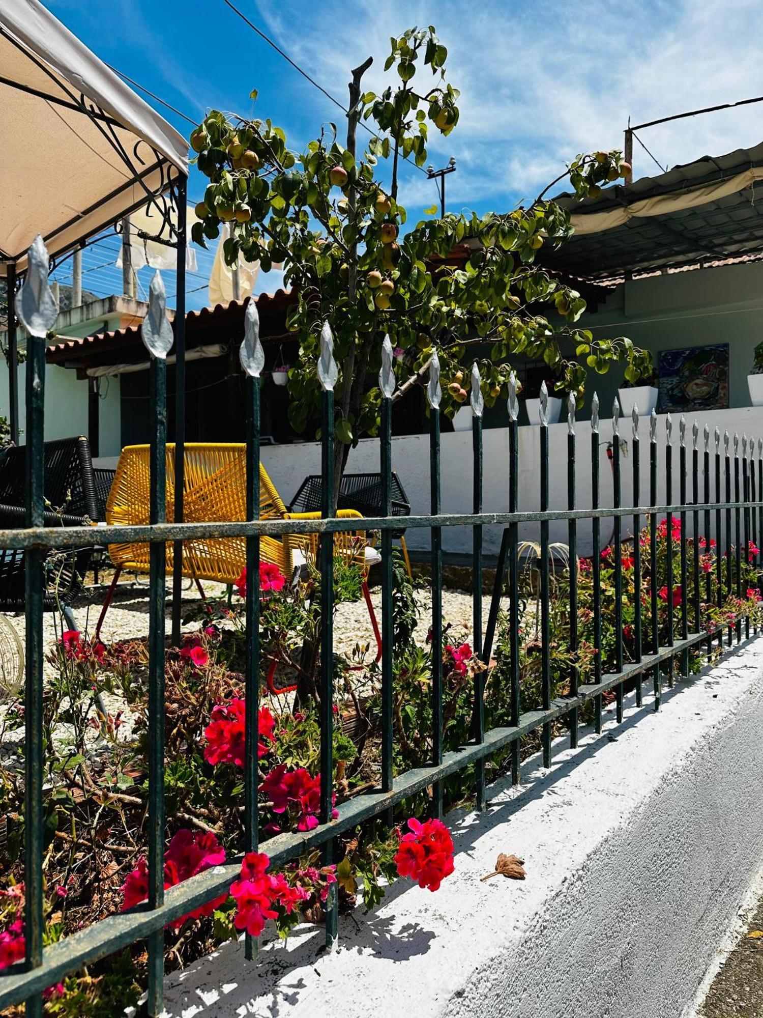 Natural Hostel Himarë Dış mekan fotoğraf
