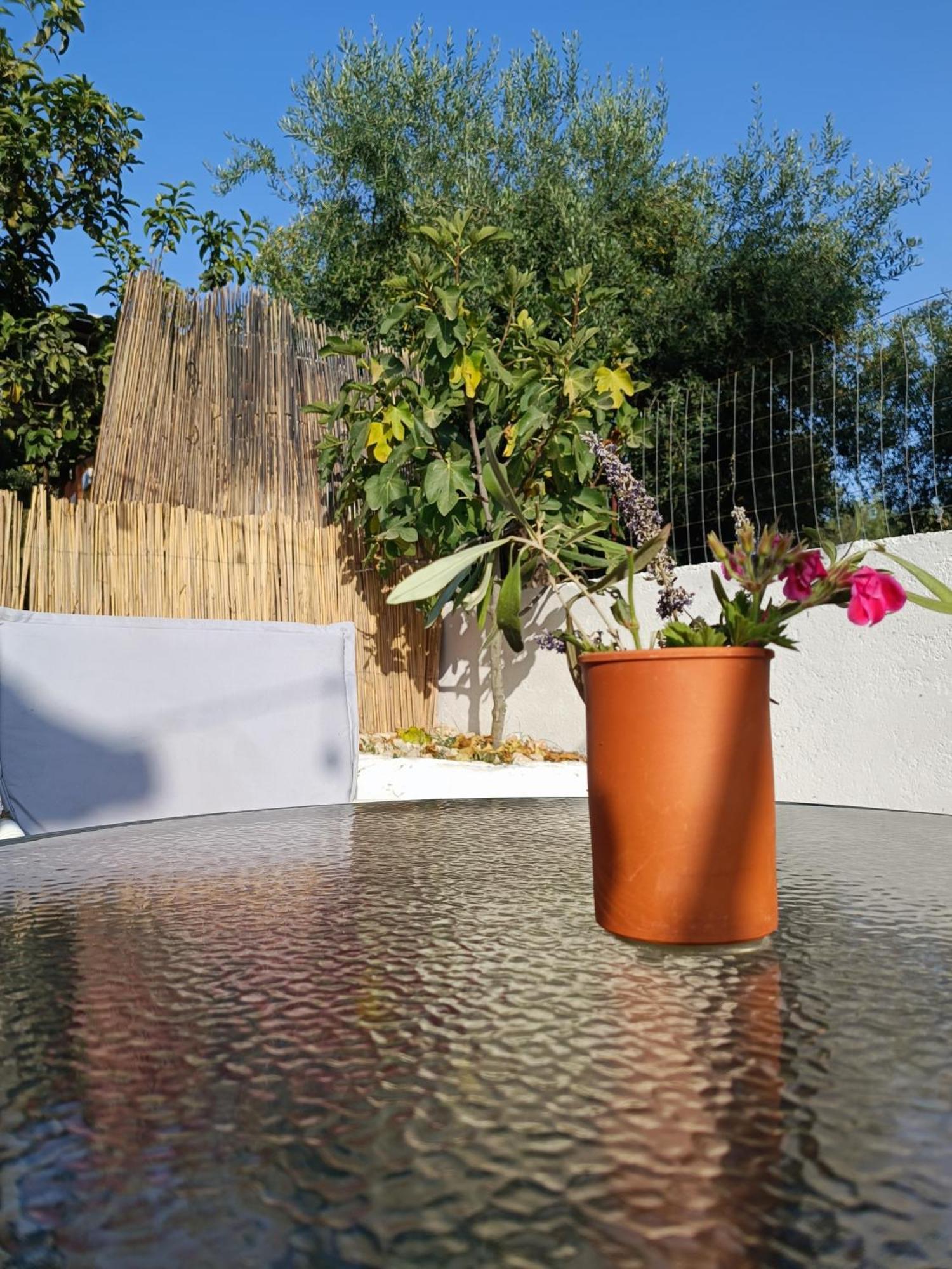 Natural Hostel Himarë Dış mekan fotoğraf